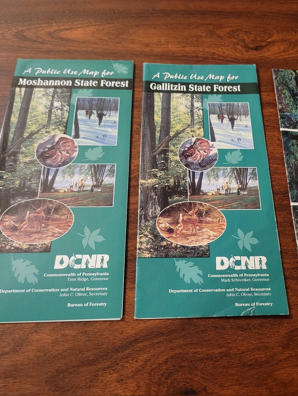 Lot of Pennsylvania DCNR State Forest and State Park Maps